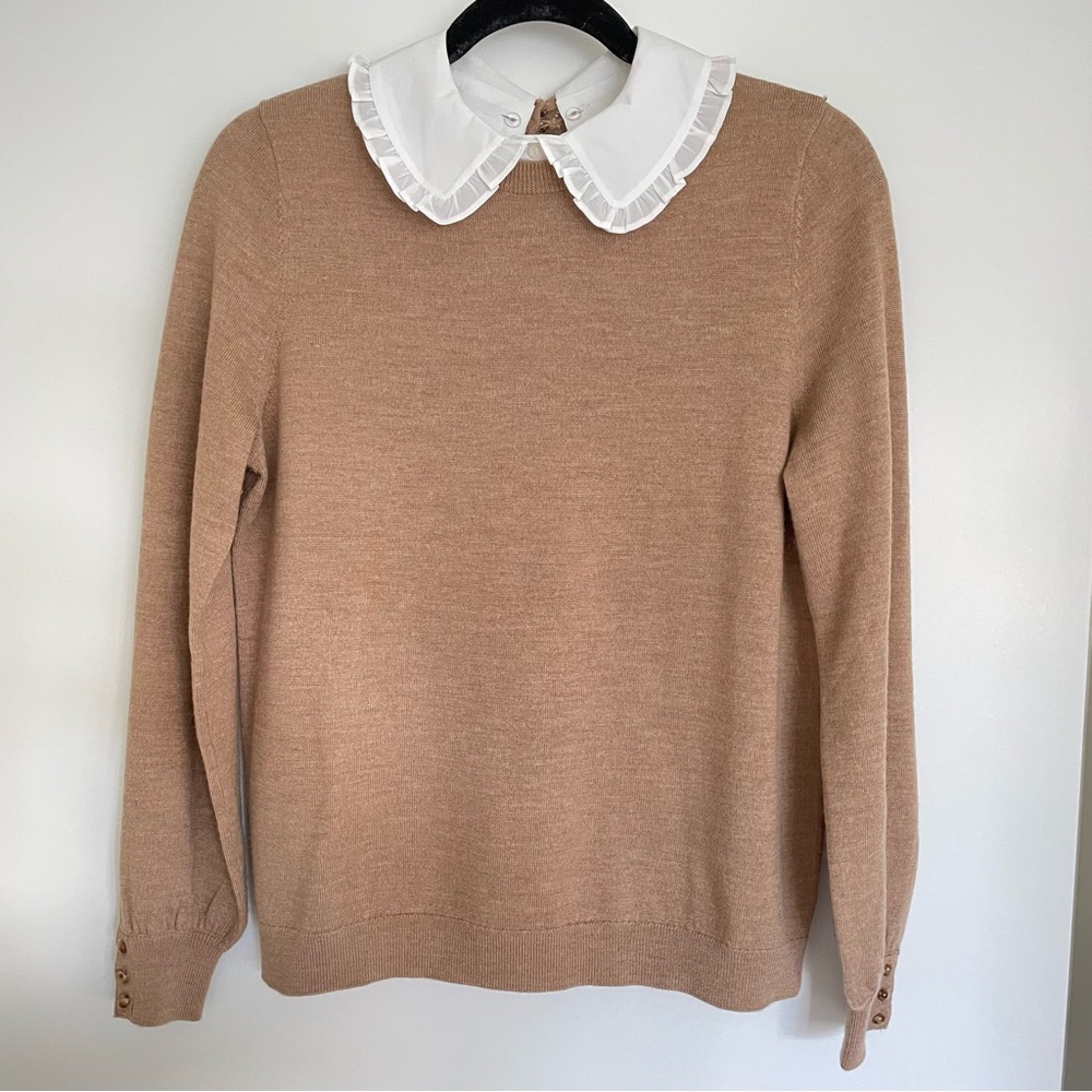 Elegant Tan Sweater with White Collar